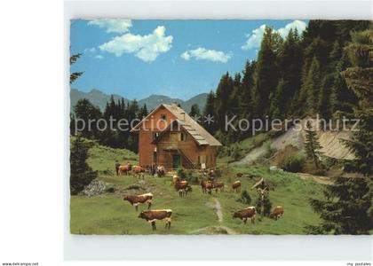 Weissensee Kaernten Naggleralm