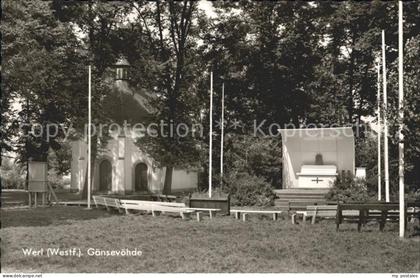 Werl Westfalen Gaensevoehde