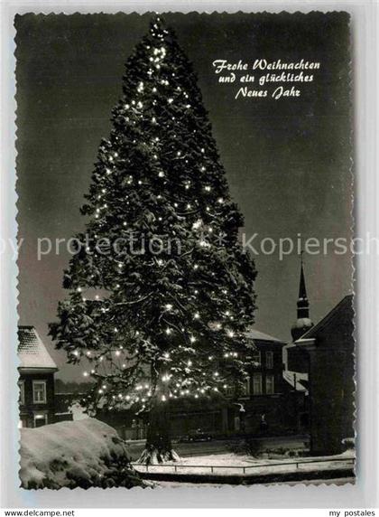 Wermelskirchen Mammutkiefer Weihnachtsgrusskarte