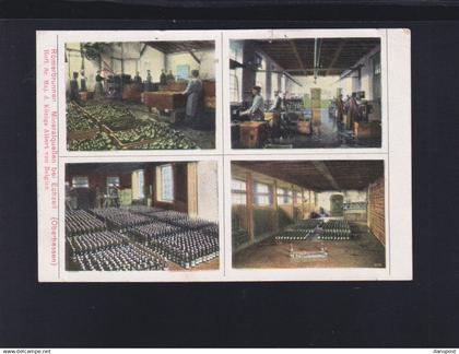 Dt. Reich AK Echzell Römerbrunnen Mineralquellen 1913