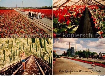 Wiesmoor Gaertnerei Teilansichten