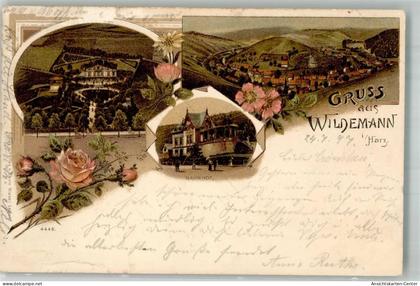 13303525 - Wildemann