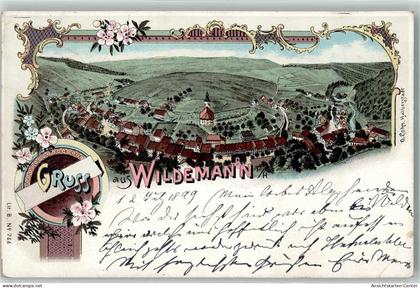 13453476 - Wildemann