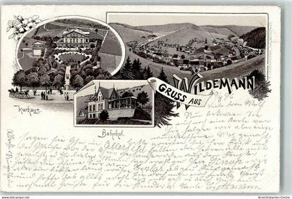 13453478 - Wildemann