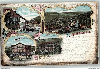 13466151 - Wildemann