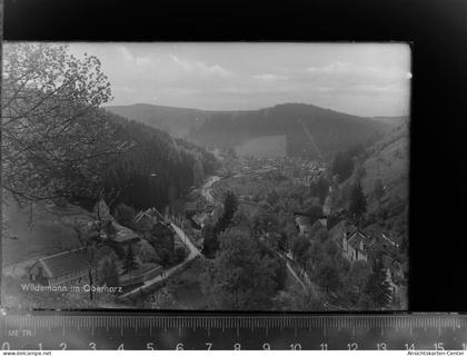 30047420 - Wildemann