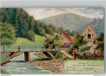 39928815 - Wildemann