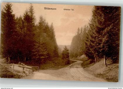 39929025 - Wildemann