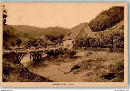 39959757 - Wildemann