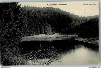 39959980 - Wildemann