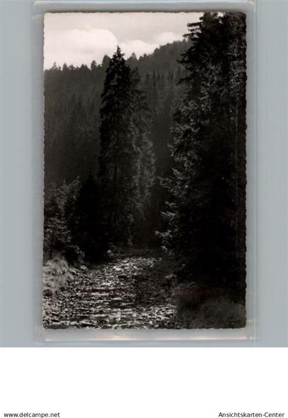 50222865 - Wildemann