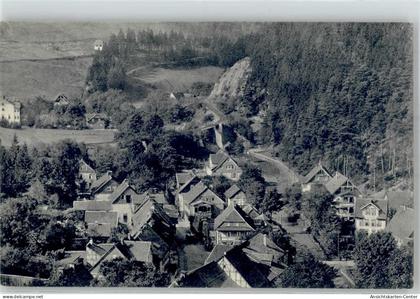 51811867 - Wildemann