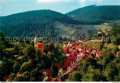Wildemann Harz Goslar Niedersachsen
