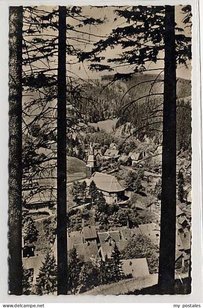 Wildemann Harz Goslar Niedersachsen Wildemann