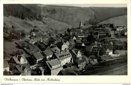 Wildemann im Oberharz