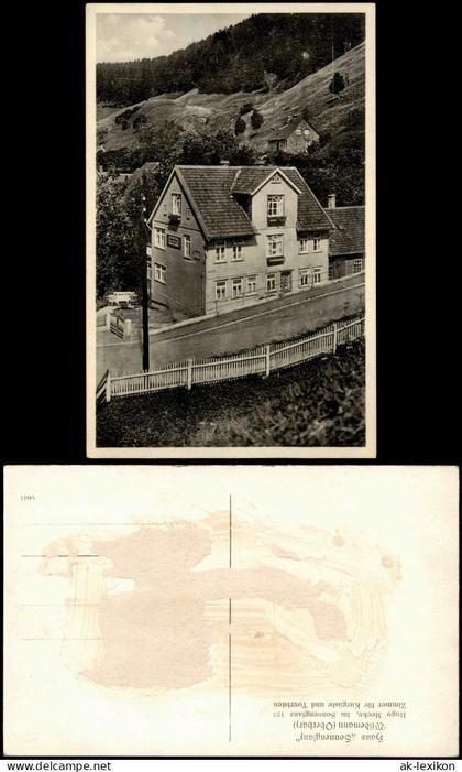 Wildemann (Innerstetal)  mit Haus Sonnenglanz Wildemann (Oberharz) 1930