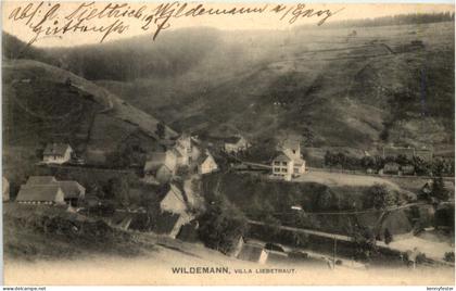 Wildemann - Villa Liebetraut