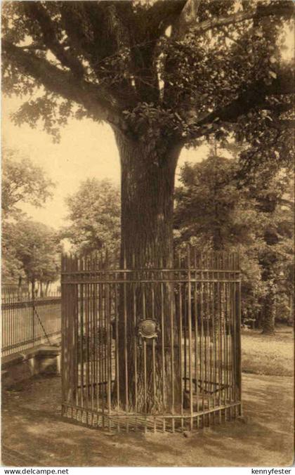 Wittenberg, Luthereiche