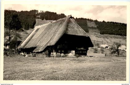 Wolfach
