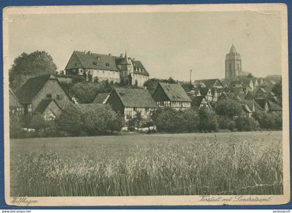 Wolfhagen Vorstadt mit Landratsamt, gelaufen 1931 (AK3832)