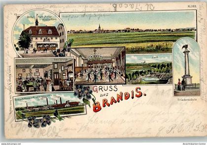 13652258 - Brandis b Wurzen