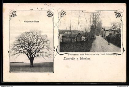 AK Zarrentin a. Schaalsee, Klopstock-Eiche und Försterhaus auf der Insel Stintenburg