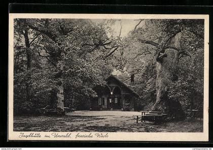 AK Zetel i. O., Gasthaus Kurhaus im Urwald