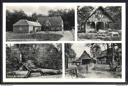 AK Zetel, Jugendherberge Zetel, Jagdhütte im Urwald, Rauchkate, Partie im Urwald