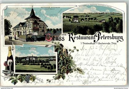 13614833 - Zeulenroda