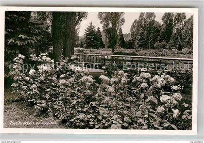 Zweibruecken Rosengarten