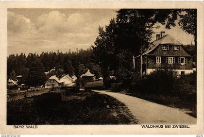 CPA Zwiesel Waldhaus bei Zwiesel GERMANY (892117)