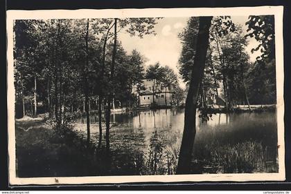 AK Zwönitz i. Erzgeb., Hammermühle