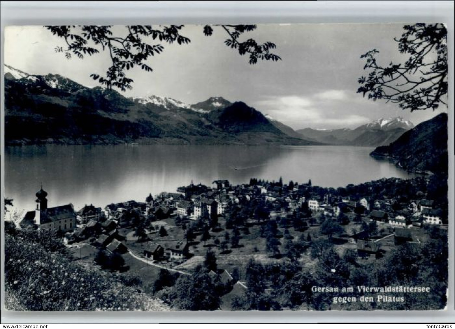 Gersau Vierwaldstaettersee Gersau