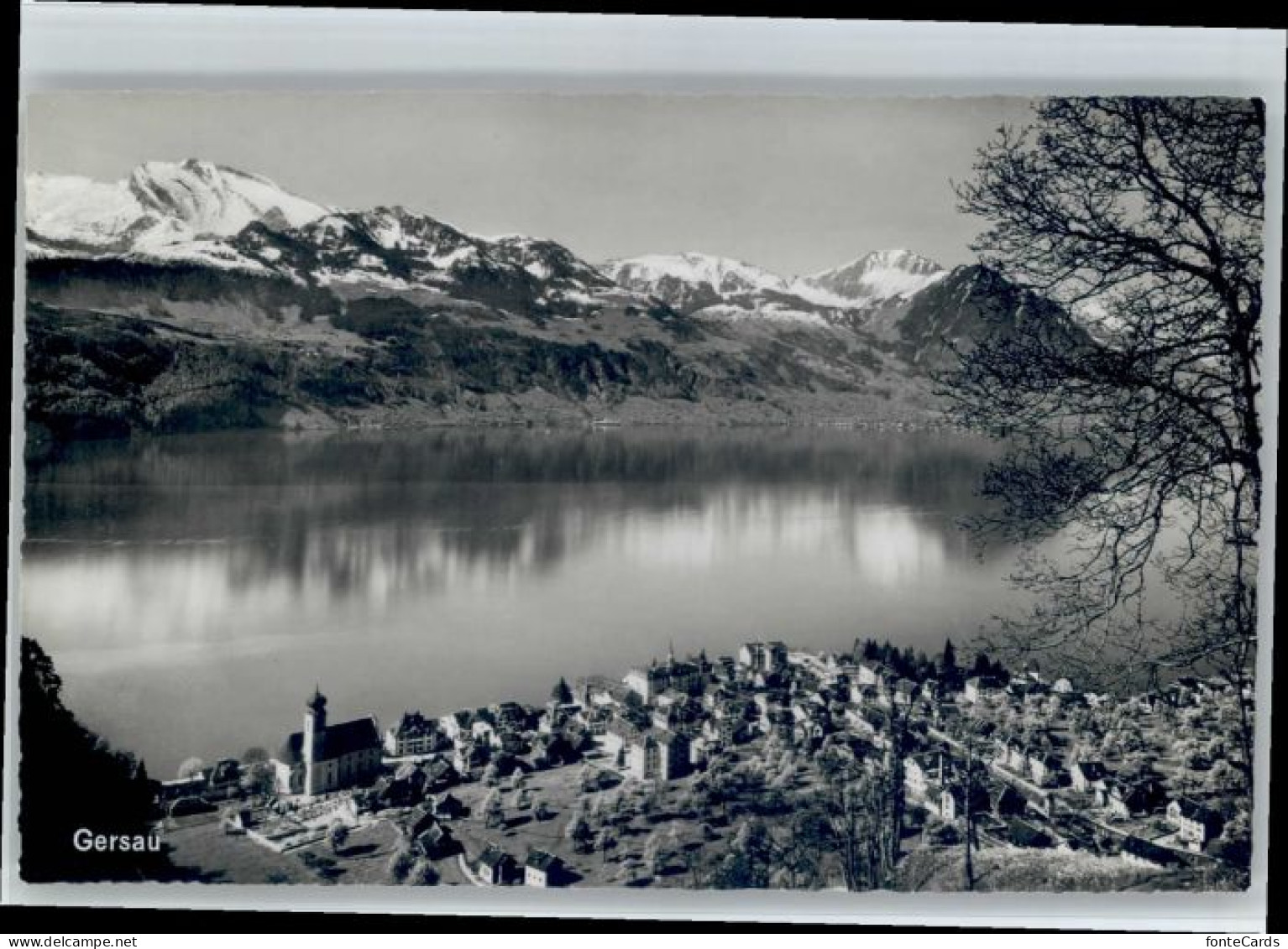 Gersau Vierwaldstaettersee Gersau