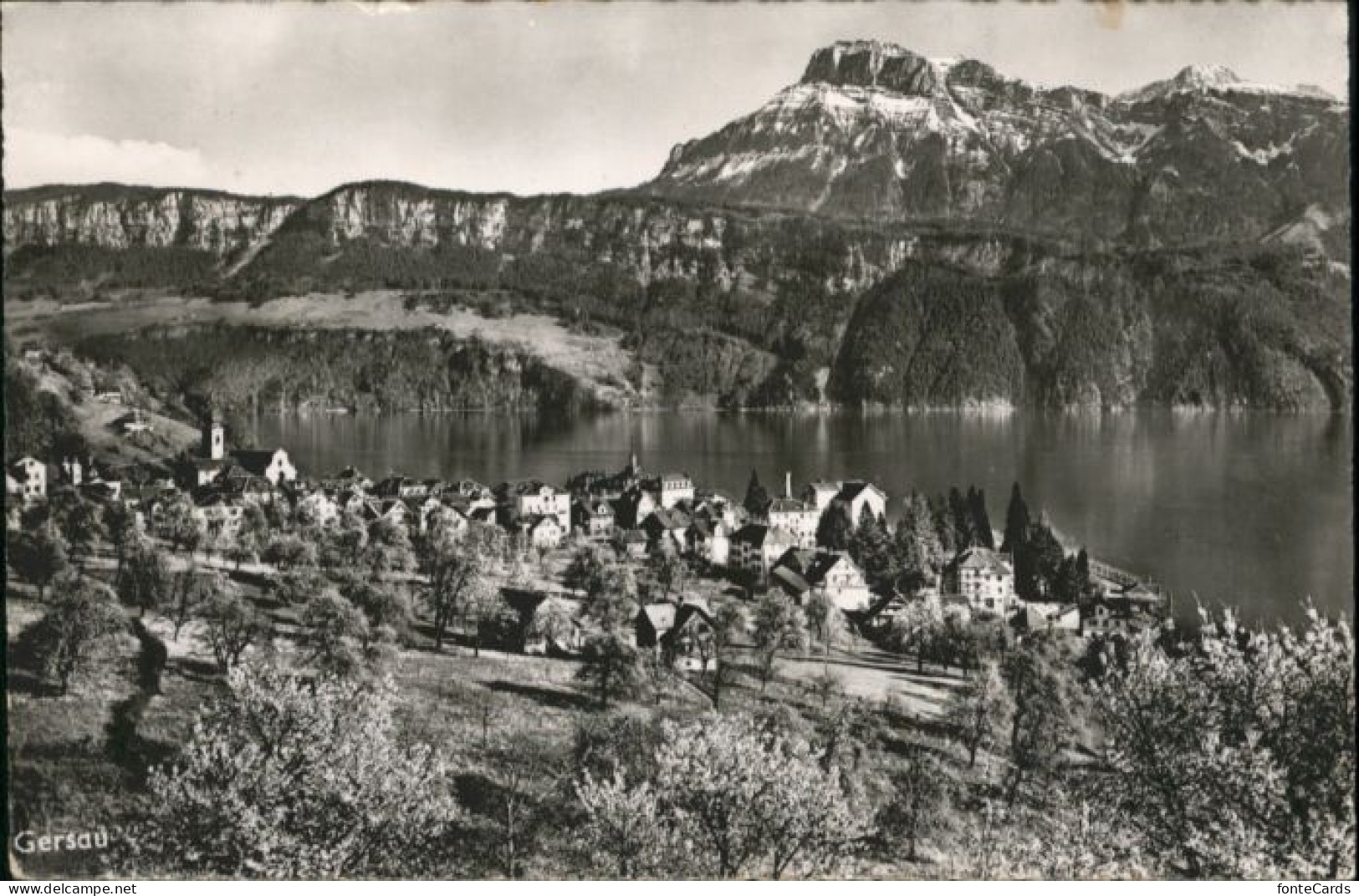 Gersau Vierwaldstaettersee Gersau