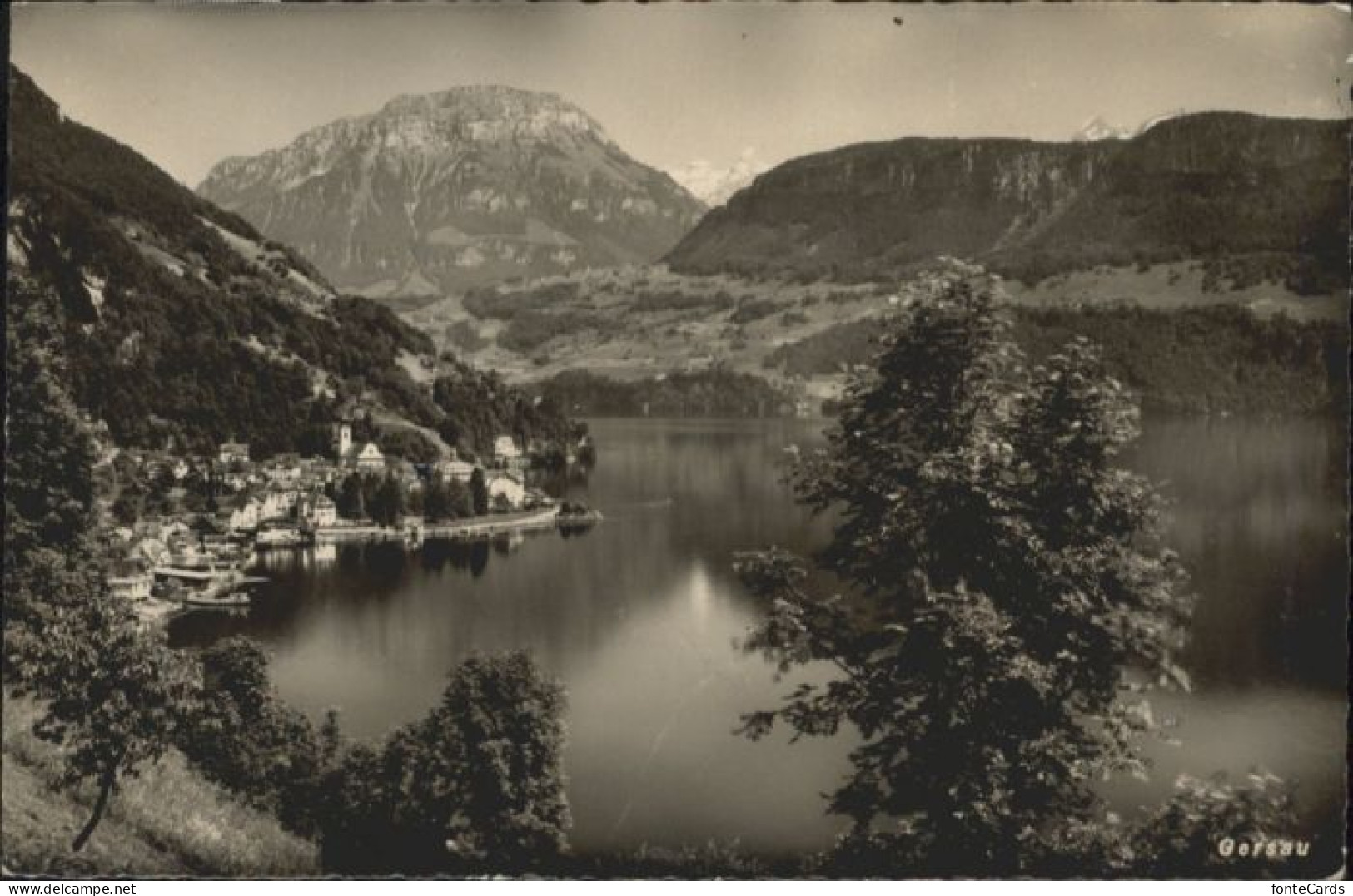 Gersau Vierwaldstaettersee Gersau