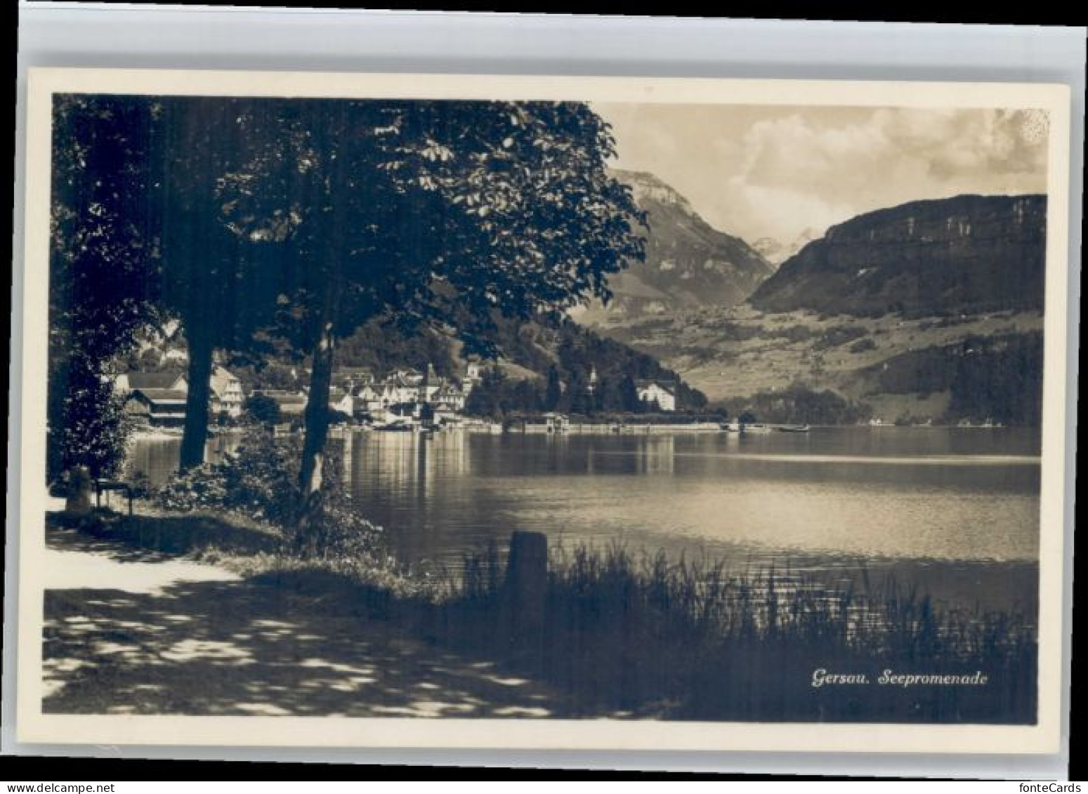 Gersau Vierwaldstaettersee Gersau