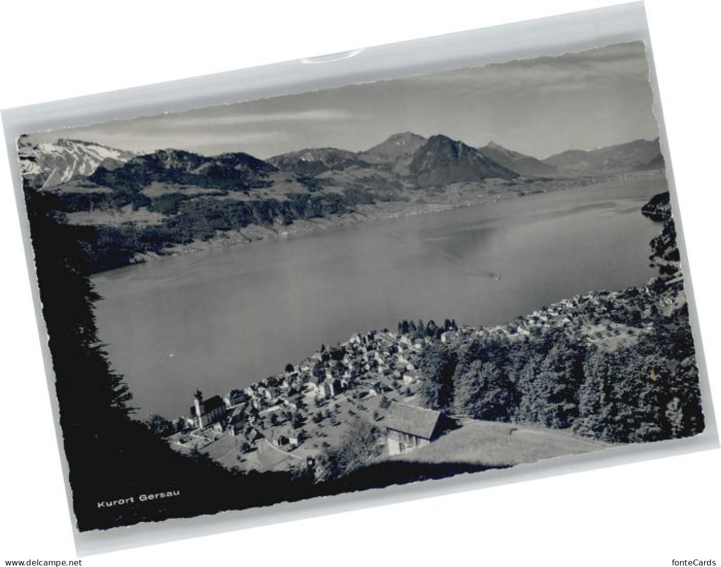 Gersau Vierwaldstaettersee Gersau