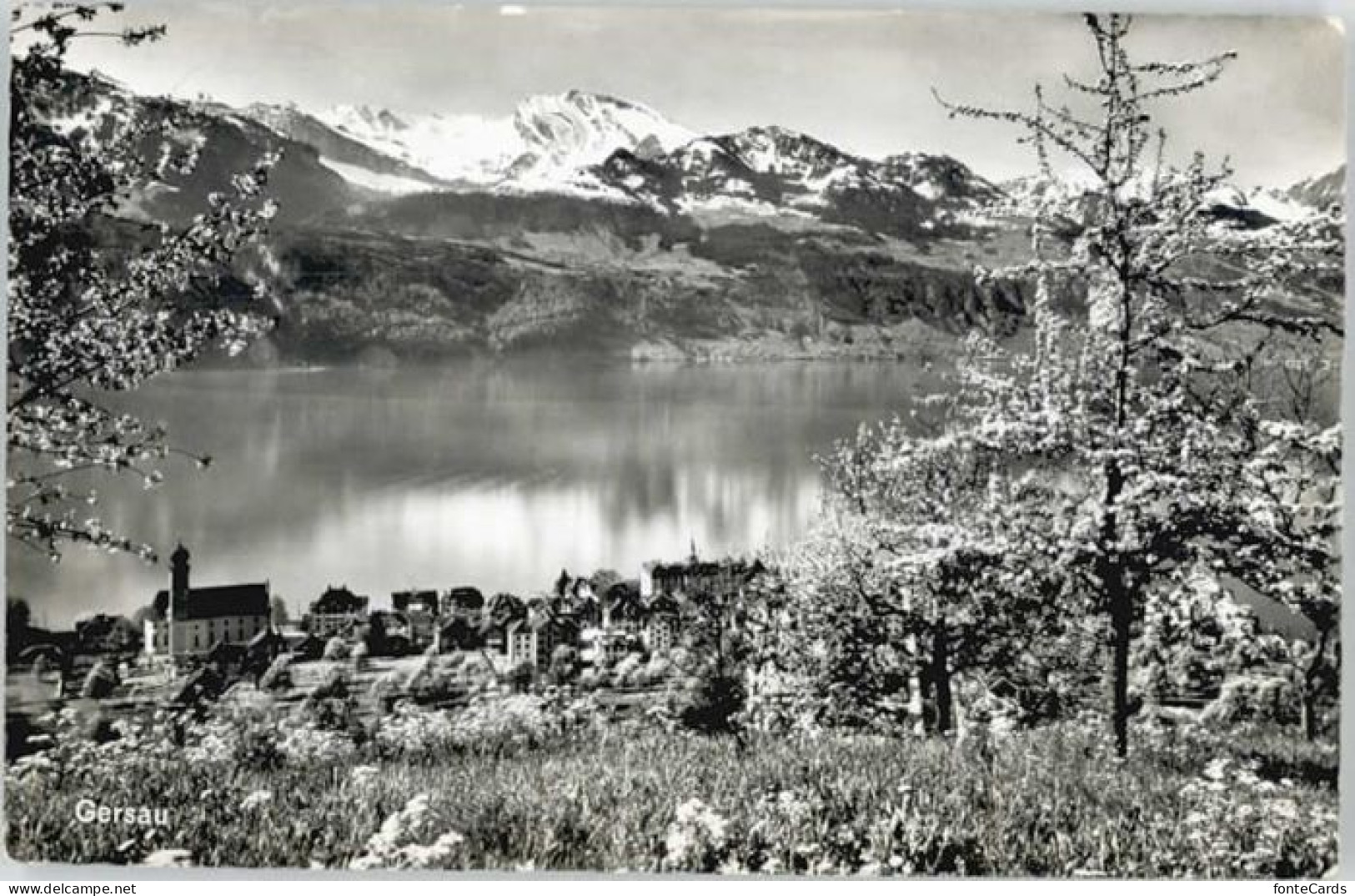 Gersau Vierwaldstaettersee Gersau