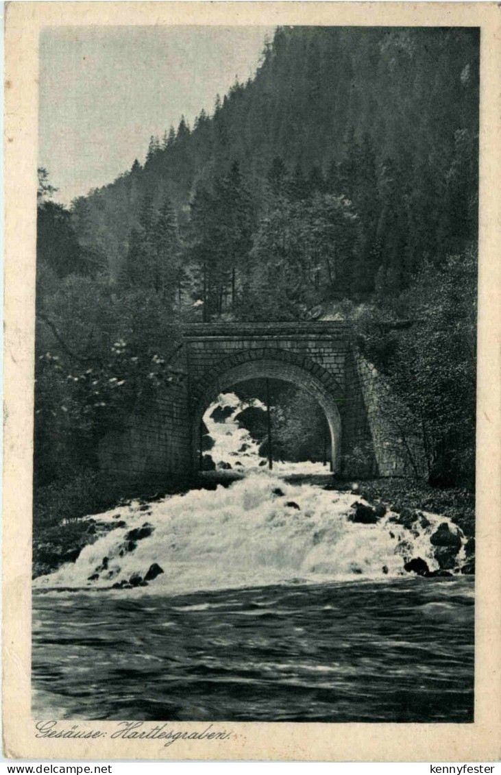 Gesäuse/Steiermark - Gesäuse, Haitlesgraben