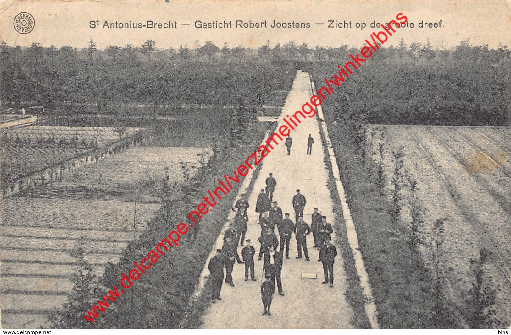 Gesticht Robert Joostens - Zicht op de groote dreef - Sint Antonius - Zoersel