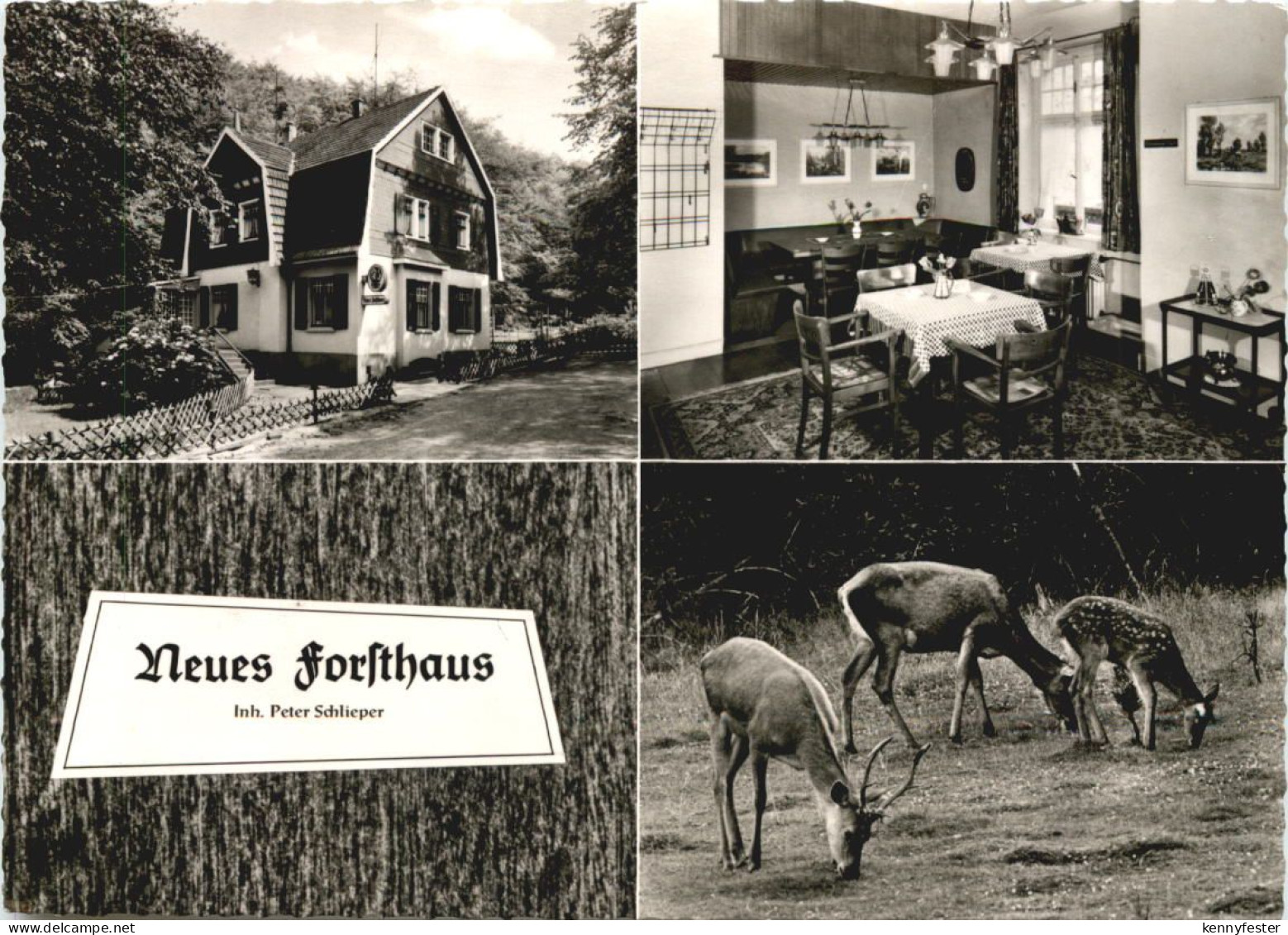 Gevelsberg - Neues Forsthaus