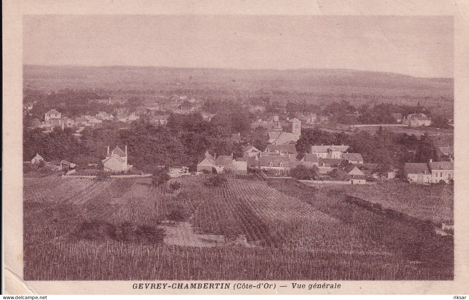 GEVREY CHAMBERTIN