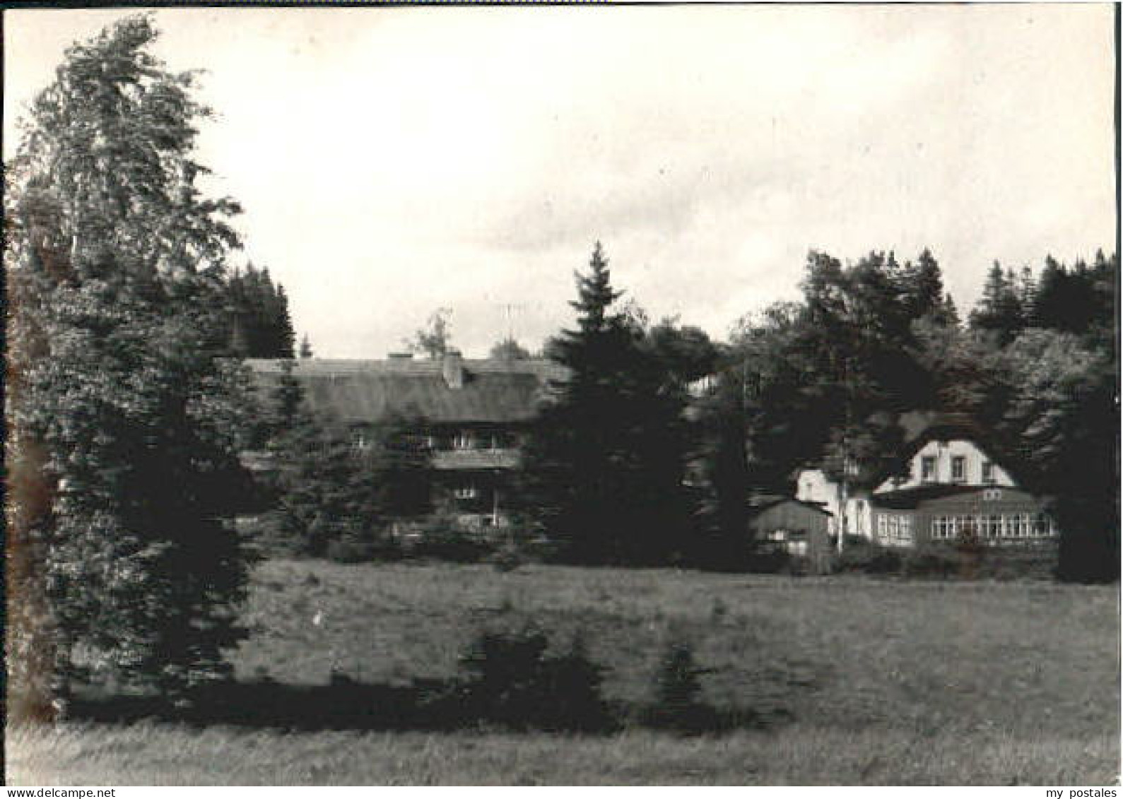 Geyer Schaenke x 1960