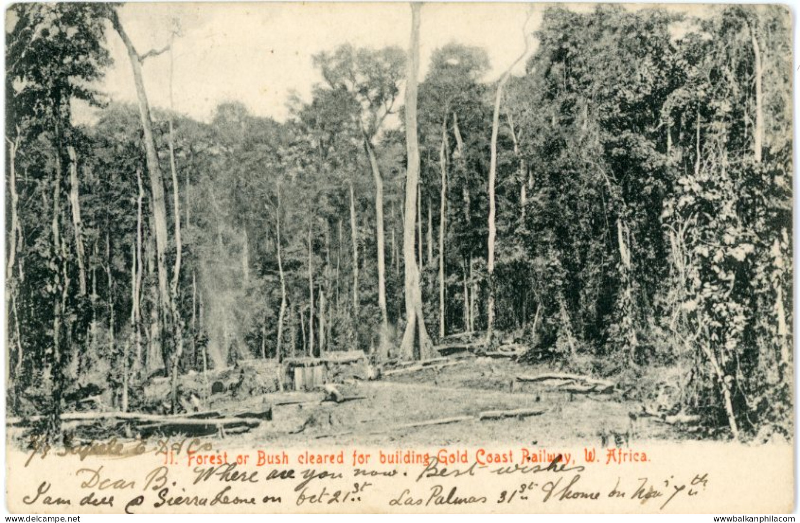 Ghana Forest cleared for Gold Coast Railway 1908 to Normandy