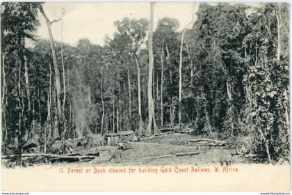 Ghana Forest cleared for Gold Coast Railway