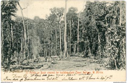 Ghana Forest cleared for Gold Coast Railway 1908 to Normandy