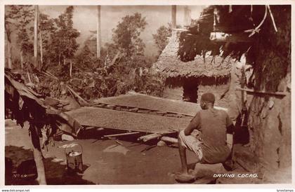 L542 Ghana Gold Coast drying cocoa real photo vintage postcard