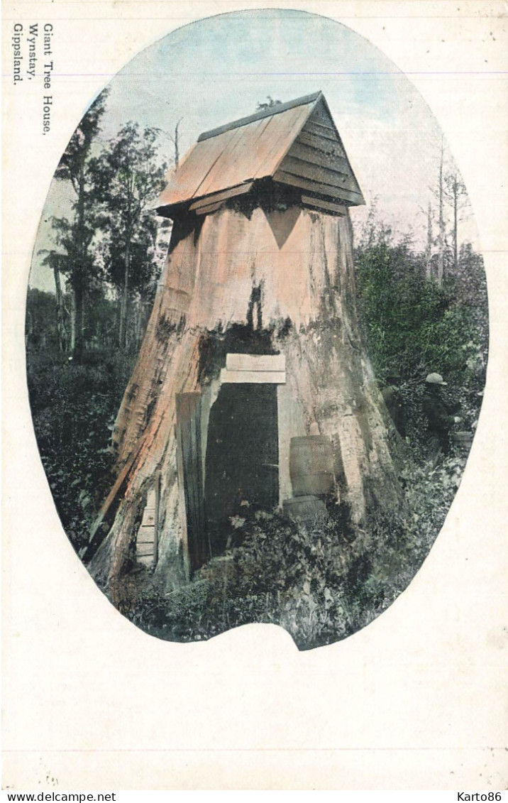 giant tree house , wynstay , gippsland * CPA * victoria australia * australie
