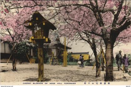 PC YOKOHAMA cherry blossoming Noge Hill JAPAN (a17713)